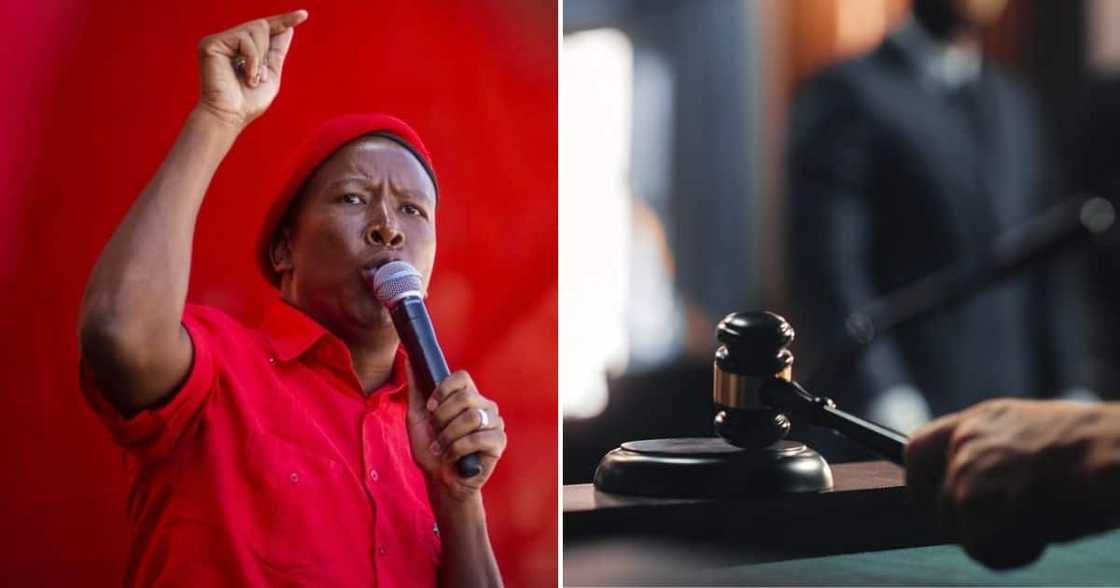 the SAHRC threatens to take EFF leader Julius Malema to court the SAHRC threatens to take EFF leader Julius Malema to court