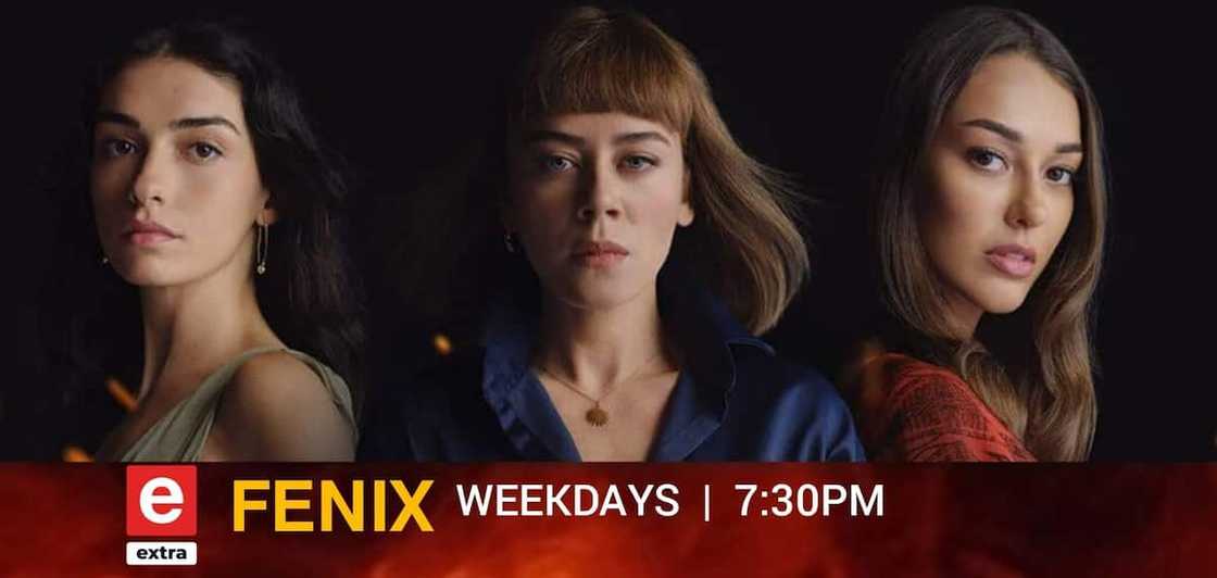 eExtra's new series Fenix eExtra's new series Fenix