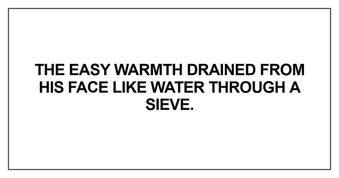 The easy warmth drained from his face