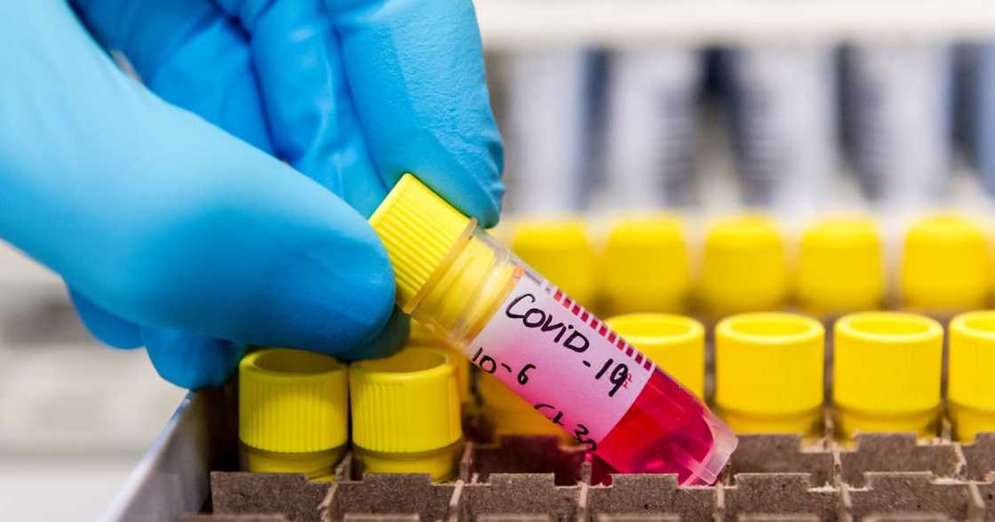 Covid 19 update: South Africa records over 8k new cases in 24 hours Covid 19 update: South Africa records over 8k new cases in 24 hours