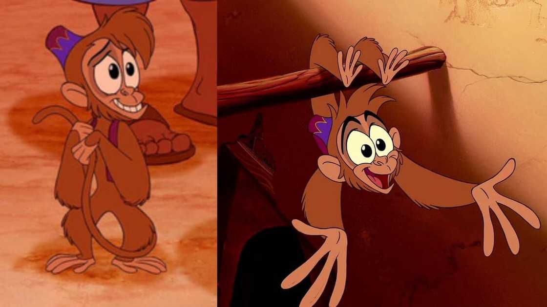 Abu from Disney's Aladdin Abu from Disney's Aladdin