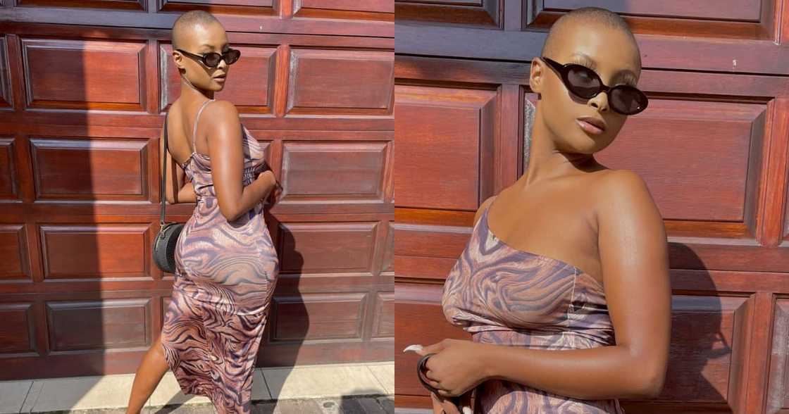 "Love It": Mzansi Reacts to Gorgeous Woman Embracing Her Bald Head "Love It": Mzansi Reacts to Gorgeous Woman Embracing Her Bald Head