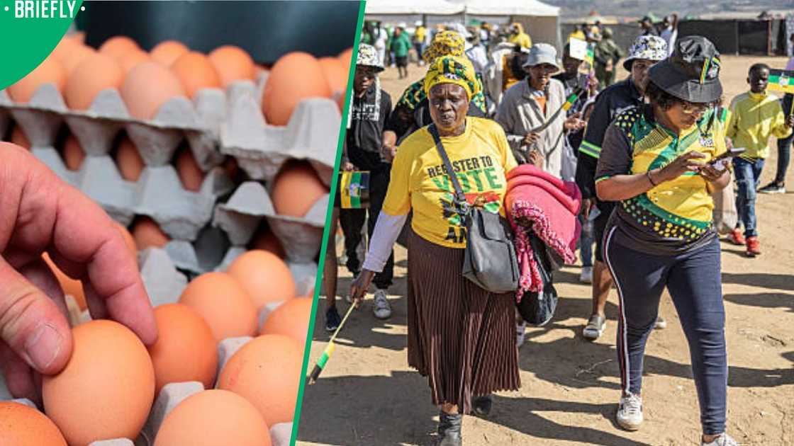 ANC volunteers