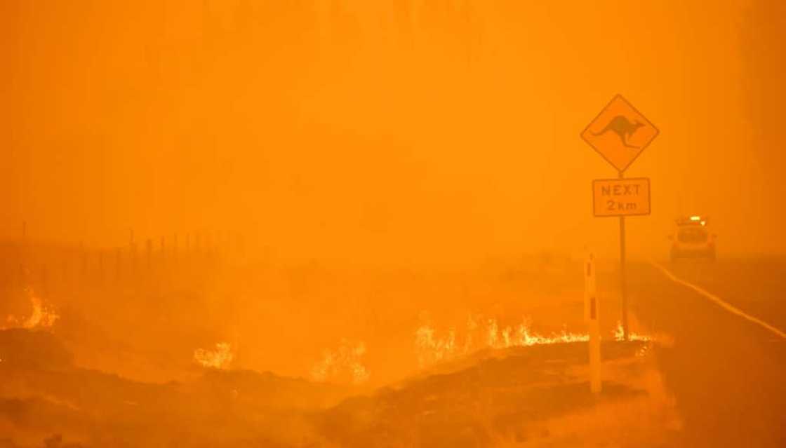 Australian bushfires in 2019 and 2020 were so bad they affected the hole in the ozone layer, researchers say