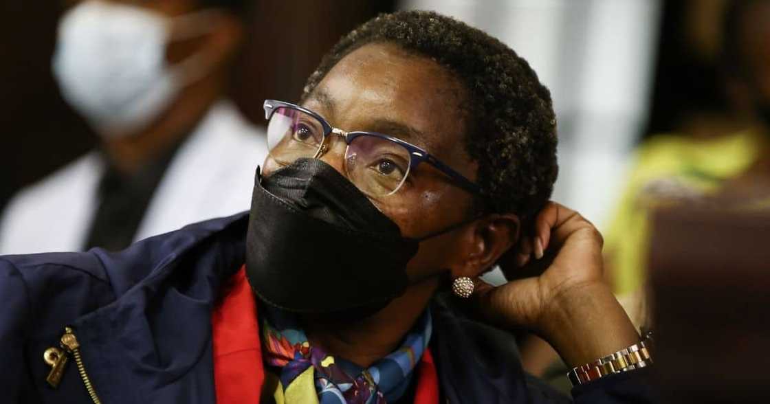 Bathabile Dlamini, sentenced, 4 years in jail or R200k fine, reactions, anc, women's league, minister of social development Bathabile Dlamini, sentenced, 4 years in jail or R200k fine, reactions, anc, women's league, minister of social development