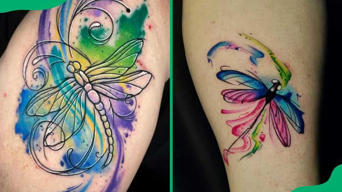 Colorful dragonfly with watercolour swirls Colorful dragonfly with watercolour swirls