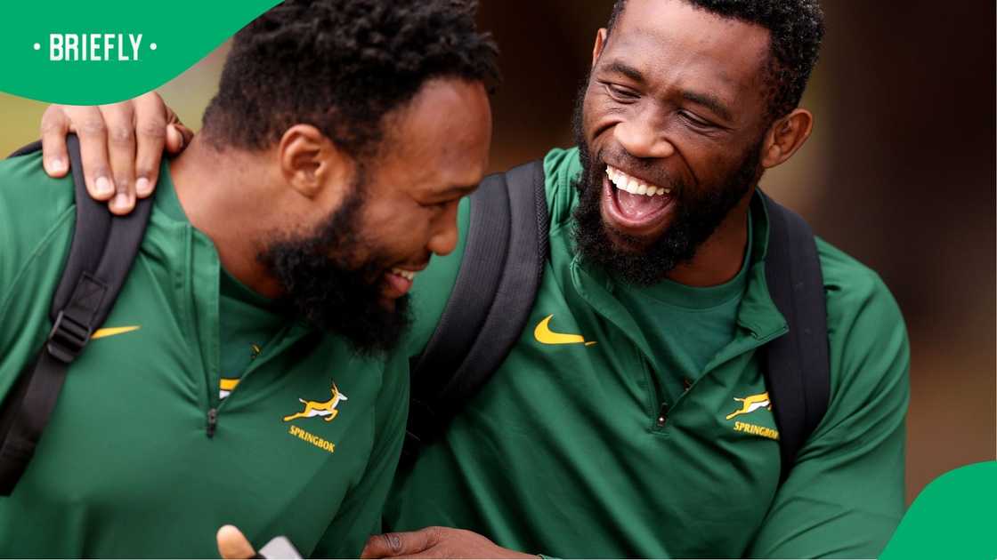 Springboks, South Africa, Lukhanyo Am, Siya Kolisi Springboks, South Africa, Lukhanyo Am, Siya Kolisi