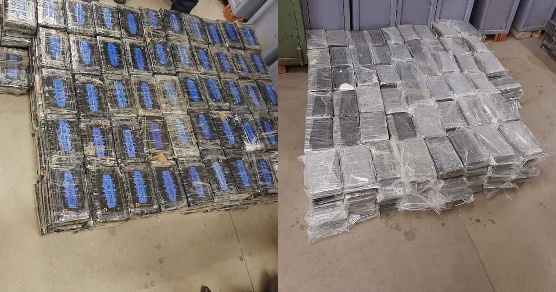 Cops Make Further Arrest in R400 Million Drug Bust in Pretoria Cops Make Further Arrest in R400 Million Drug Bust in Pretoria