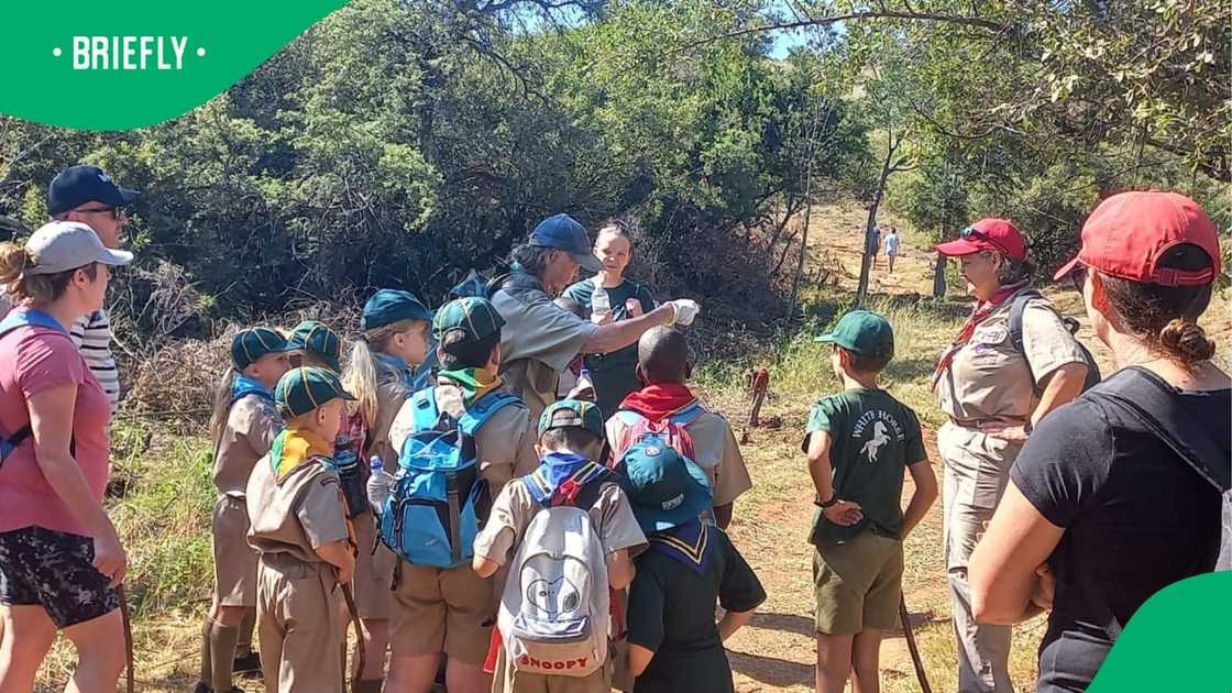 The image showed cubs from various packs in Randburg who enjoyed hiking