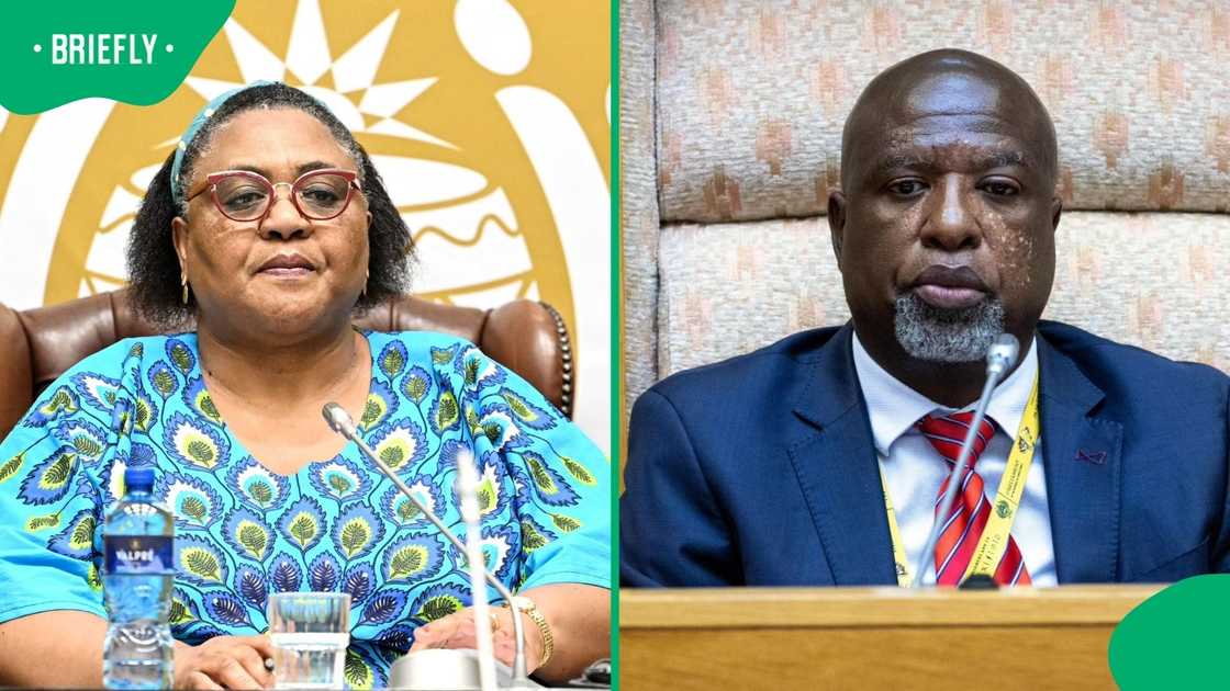 National Assembly Speaker of Parliament Thoko Didiza said the Ad Hoc Committee must consult with Brown Mogotsi to address his fears preventing him from appearing before the Ad Hoc Committee National Assembly Speaker of Parliament Thoko Didiza said the Ad Hoc Committee must consult with Brown Mogotsi to address his fears preventing him from appearing before the Ad Hoc Committee