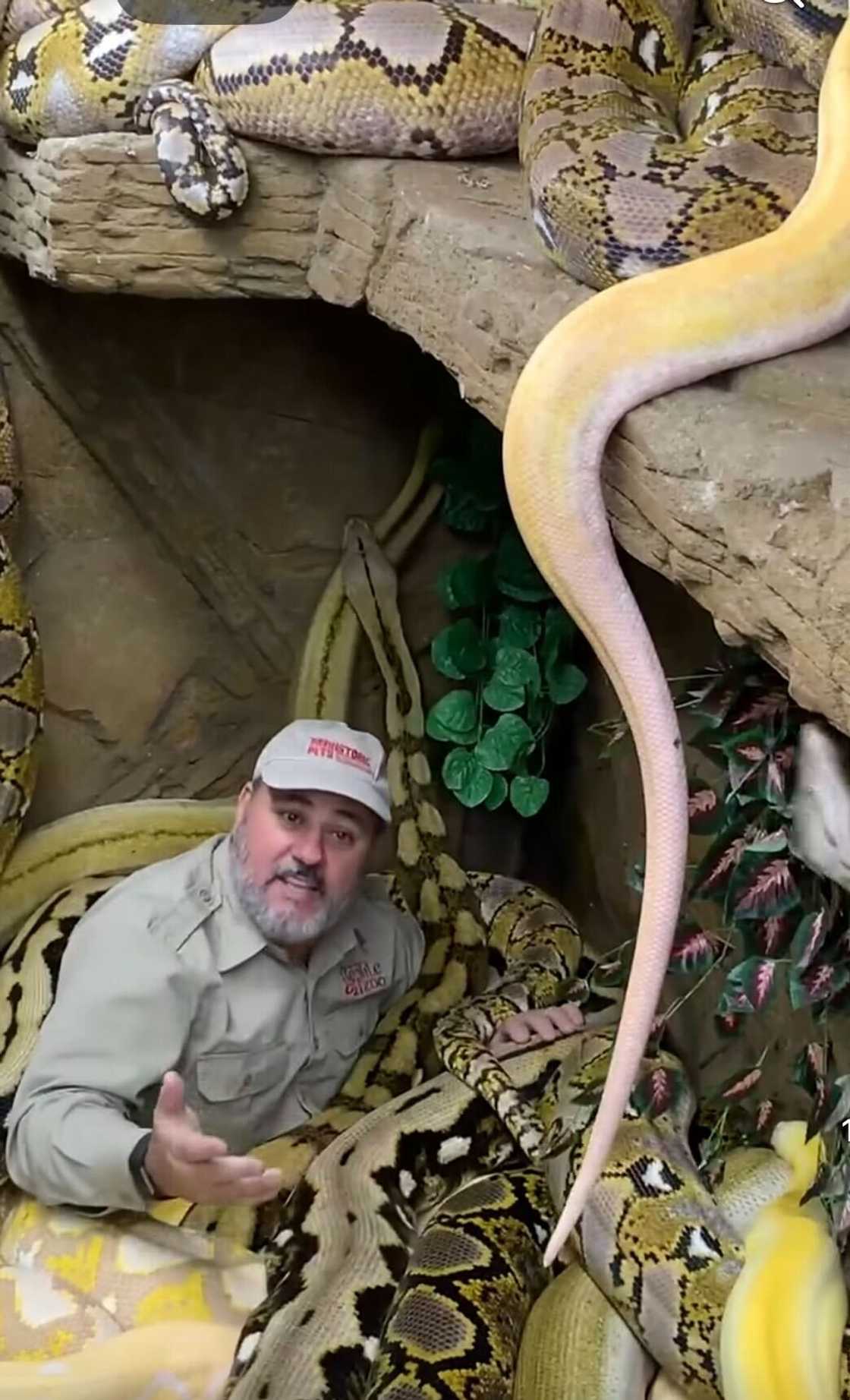 A man demonstrated his passion for snakes by lying down in a reptilian-filled hole.