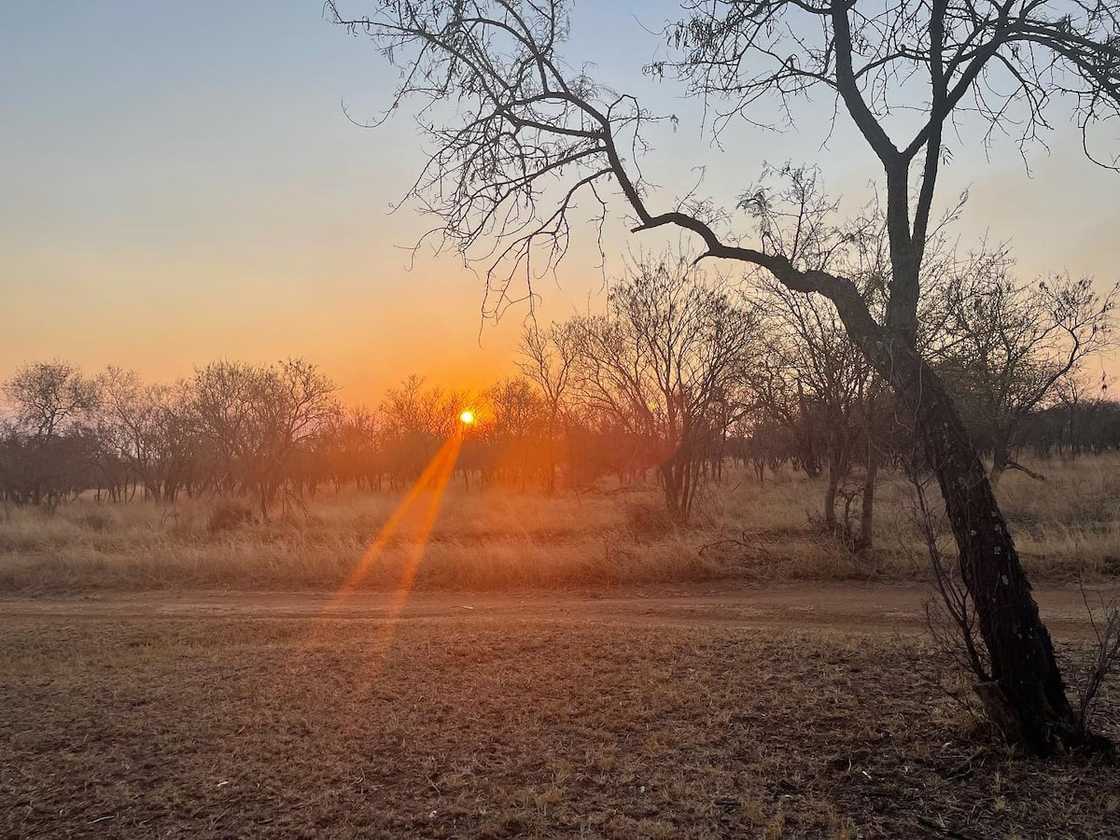 bush camping in Gauteng bush camping in Gauteng