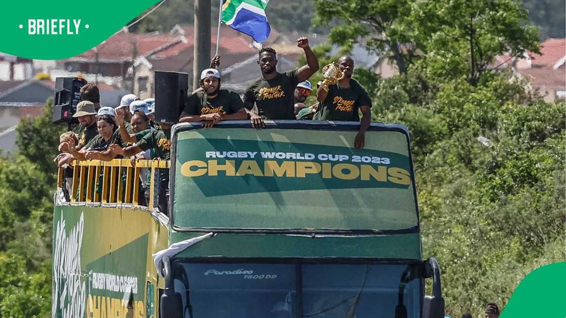 Springboks, South Africa, Makazole Mapimpi