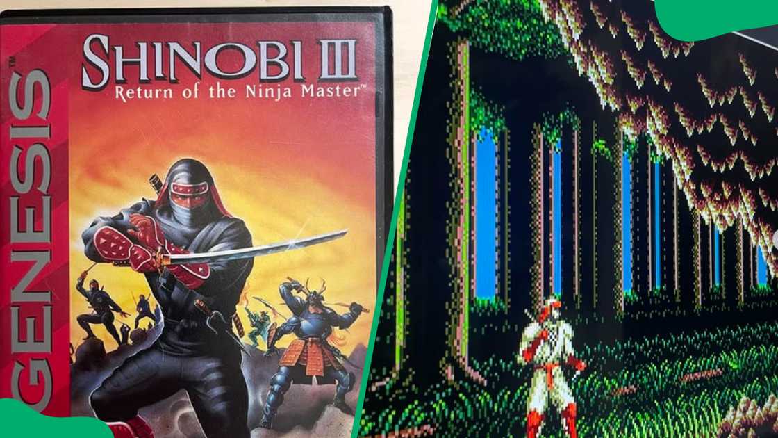 Shinobi III: Return of the Ninja Master