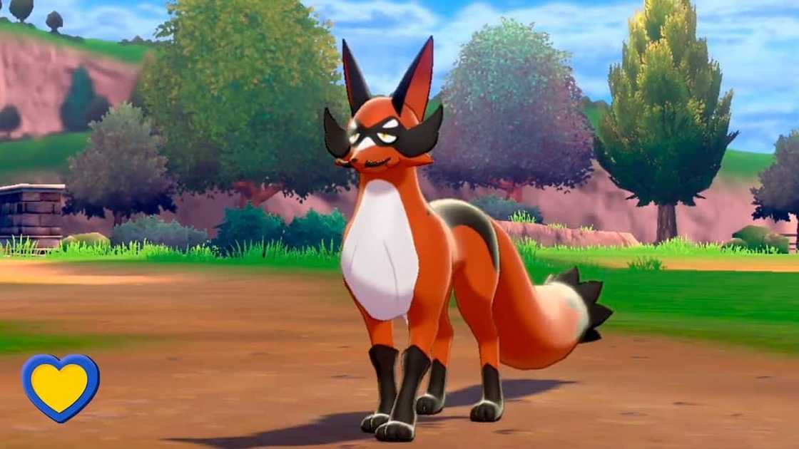 How many dog type Pokemons are there? How many dog type Pokemons are there?