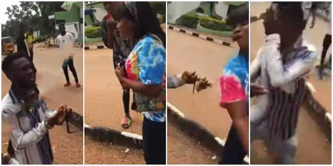 Video shows Nigerian female student giving boyfriend hot slap on campus as she rejects his proposal Video shows Nigerian female student giving boyfriend hot slap on campus as she rejects his proposal