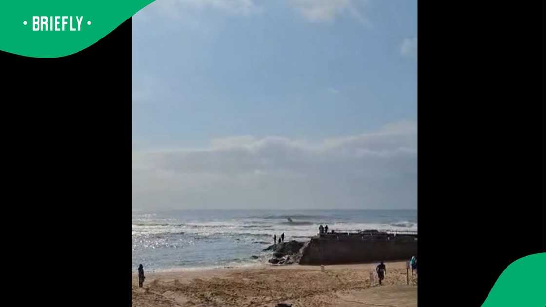 A post went viral on Facebook. A post went viral on Facebook.