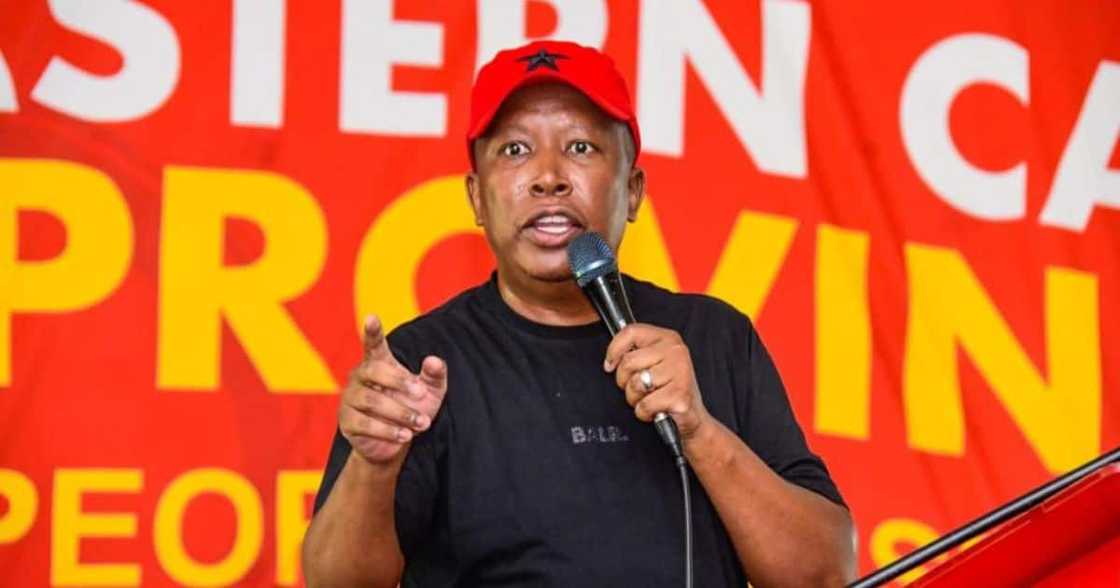 EFF Leader Julius Malema EFF Leader Julius Malema