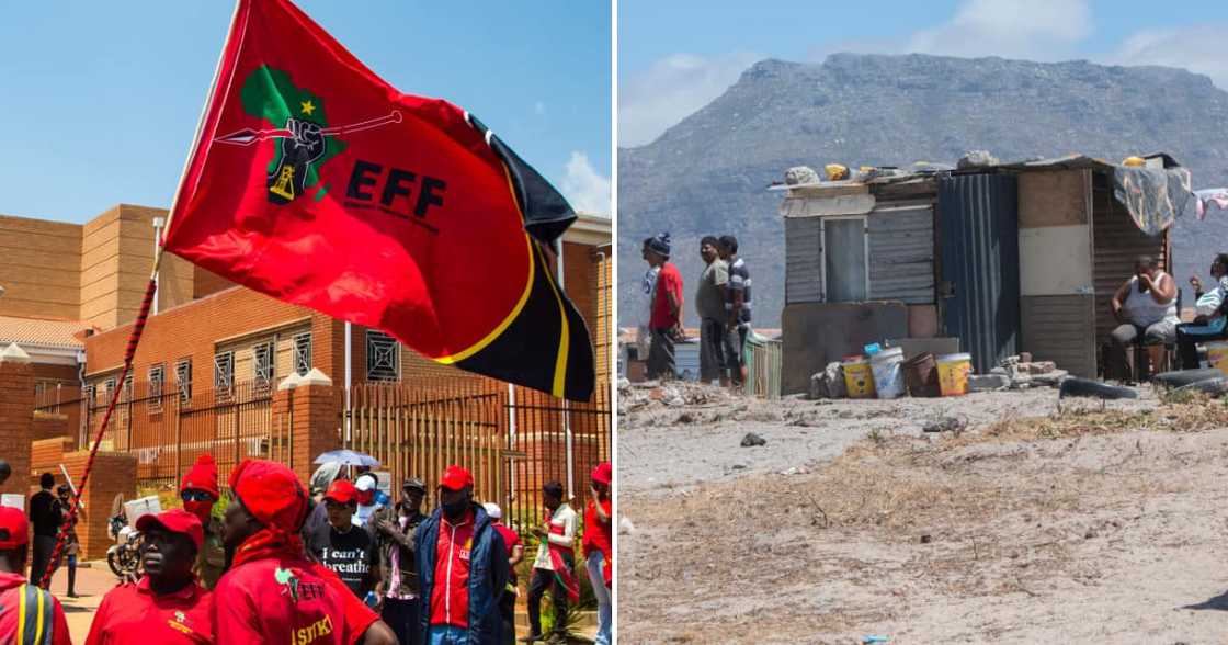 EFF sticks to land occupation commitment despite Supreme Court of Appeals judgement EFF sticks to land occupation commitment despite Supreme Court of Appeals judgement