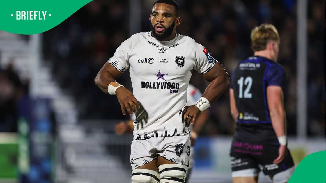 Springboks, South Africa, Vincent Tshituka, URC, Sharks