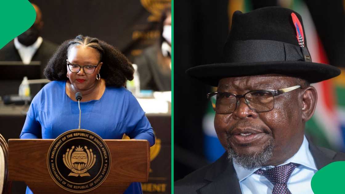 Siviwe Gwarube will meet with Enoch Godongwana to discuss budget cuts Siviwe Gwarube will meet with Enoch Godongwana to discuss budget cuts