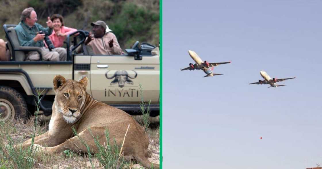 FlySafair introduces Cape Town to Kruger National Park route FlySafair introduces Cape Town to Kruger National Park route