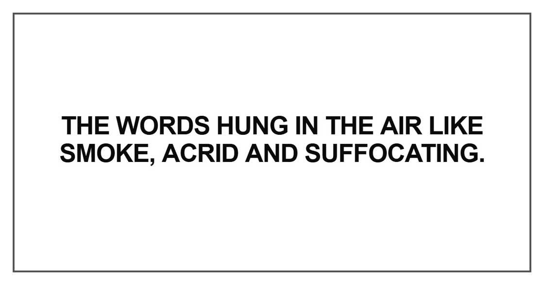 The words hung in the air like smoke The words hung in the air like smoke