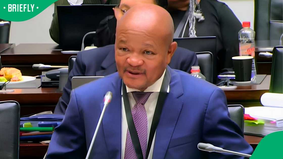 Senzo Mchunu's decision to disband the PKTT has been at the centre of many testimonies before Parliament's Ad Hoc Committee