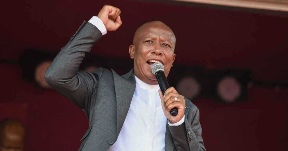 Julius Malema publicly snitches on Mzansi man trying to sell alcohol online Julius Malema publicly snitches on Mzansi man trying to sell alcohol online