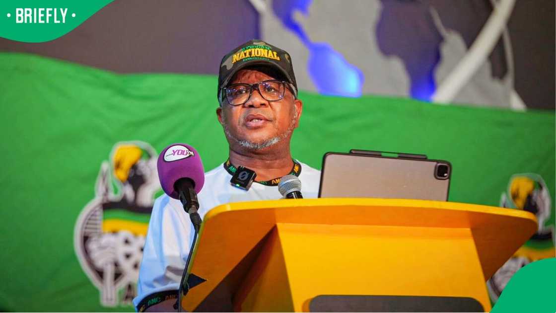 Fikile Mbalula wants experience requirements for jobs to be scrapped