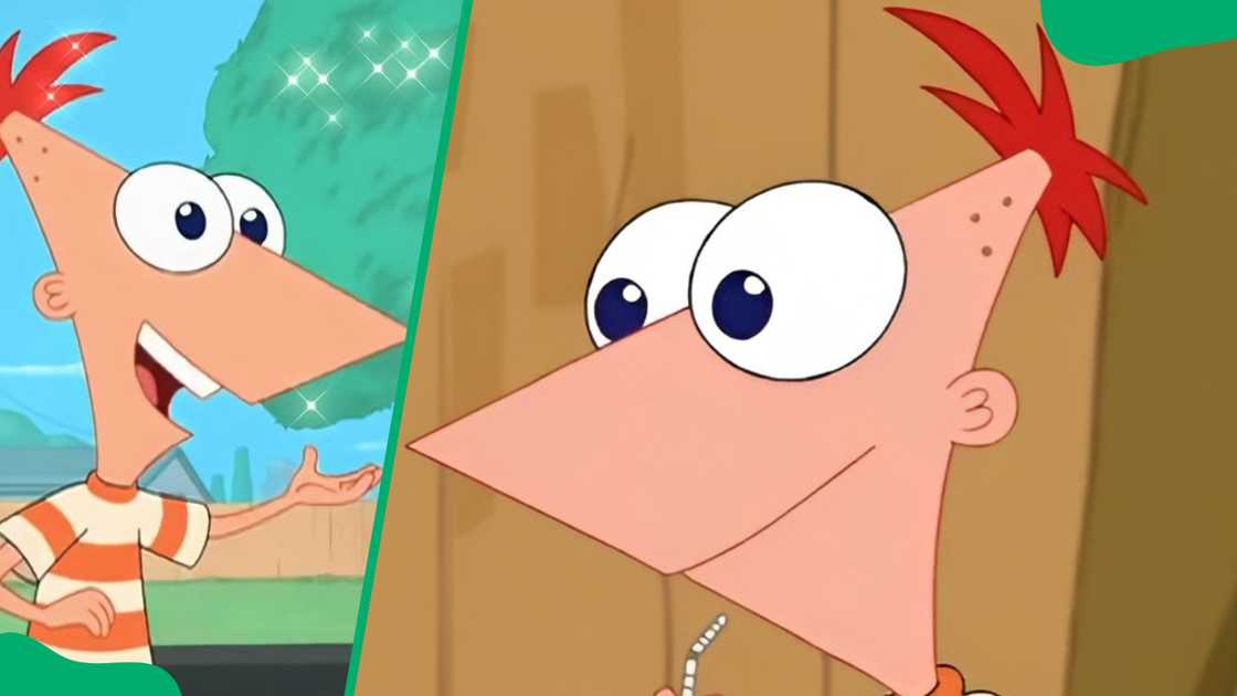 Phineas Flynn with a big head