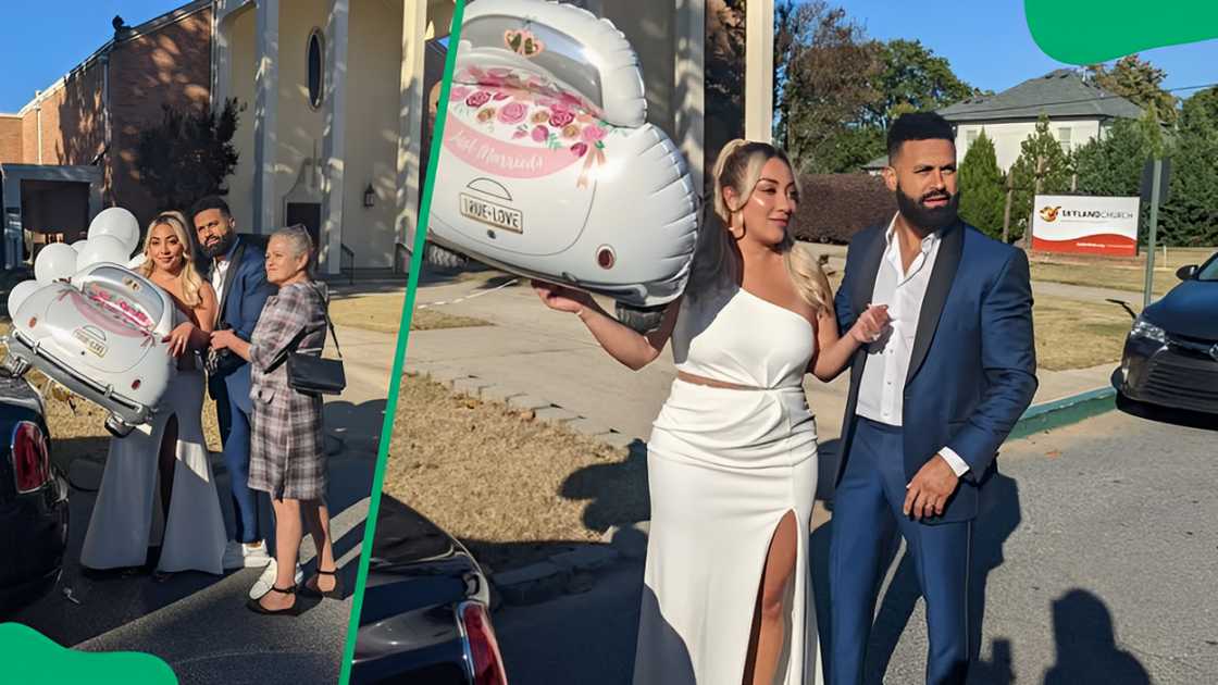 Apollo Nida and Sherien Almufti's wedding Apollo Nida and Sherien Almufti's wedding