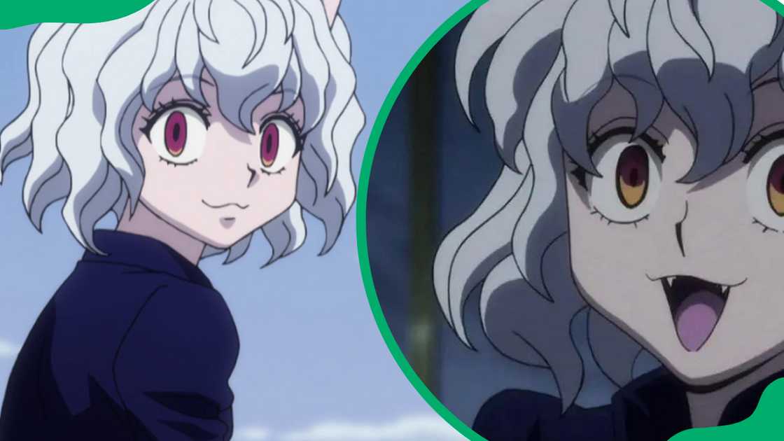 Neferpitou from Hunter x Hunter Neferpitou from Hunter x Hunter