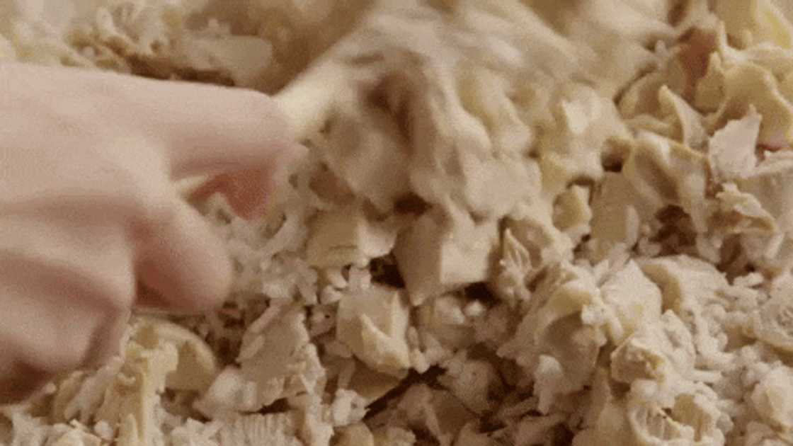 Homemade casserole Homemade casserole