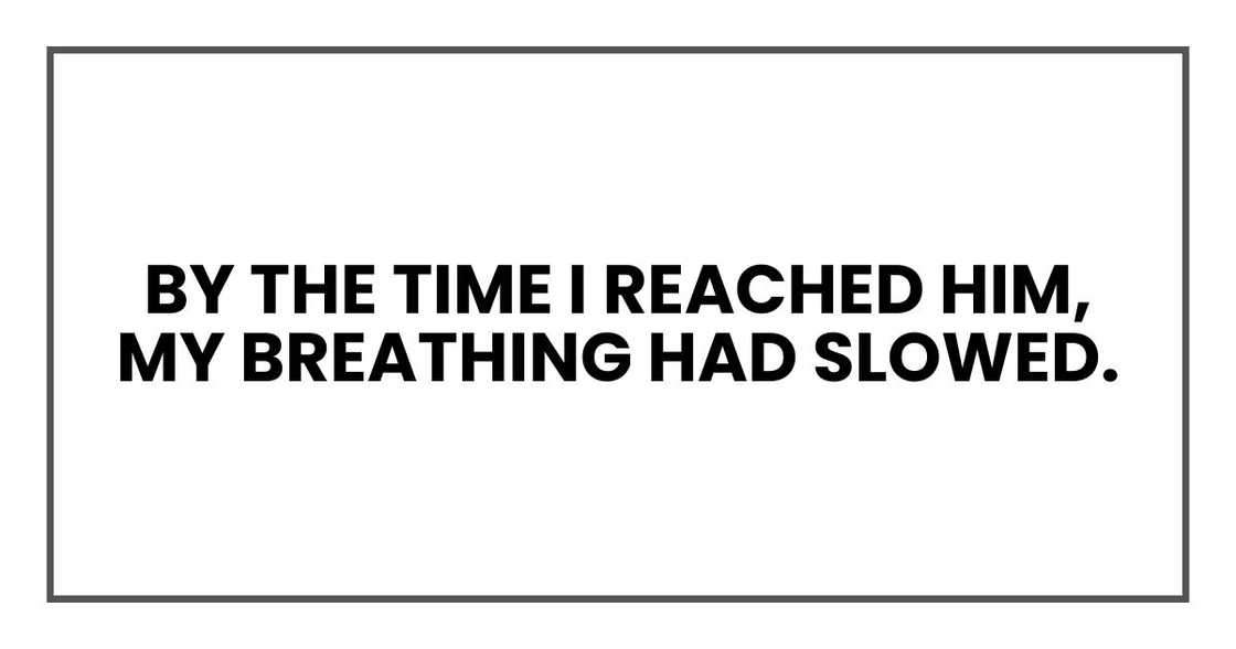 By the time I reached him, my breathing had slowed. By the time I reached him, my breathing had slowed.