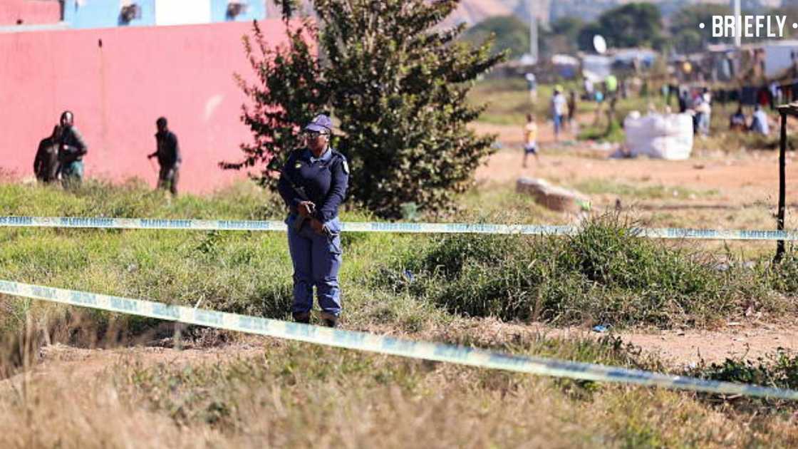 Polise service Polise service