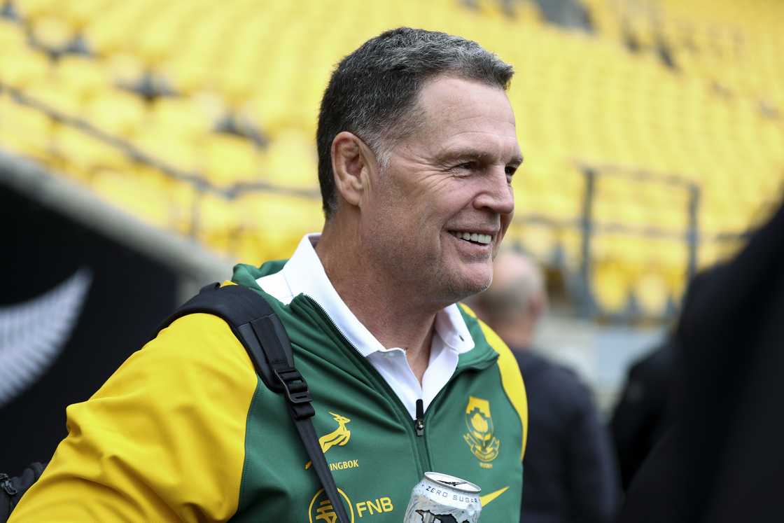 Rassie Erasmus, Springboks, Rugby Championship