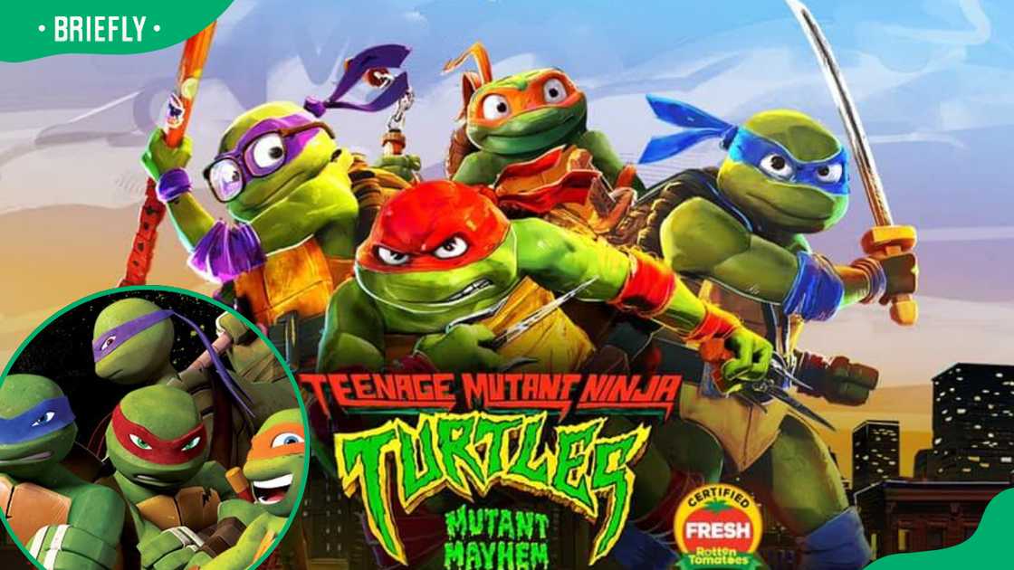 Teenage Mutant Ninja Turtles