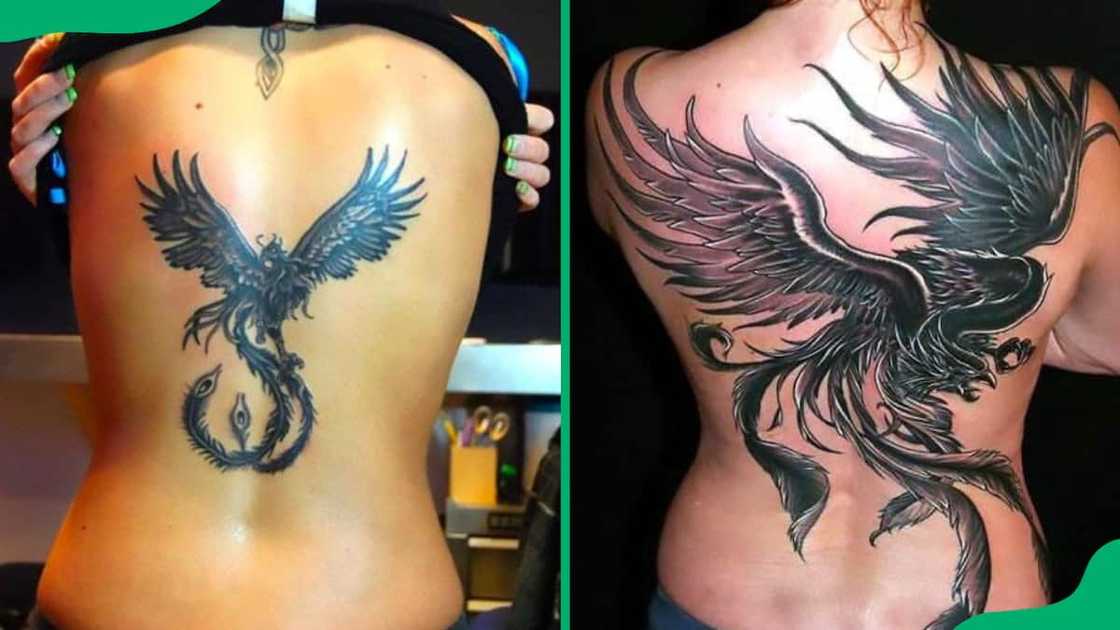 Black phoenix on the back Black phoenix on the back