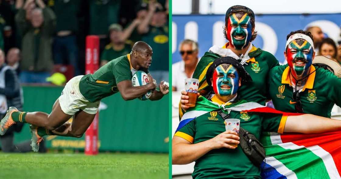 SA rallied behind the Springboks SA rallied behind the Springboks
