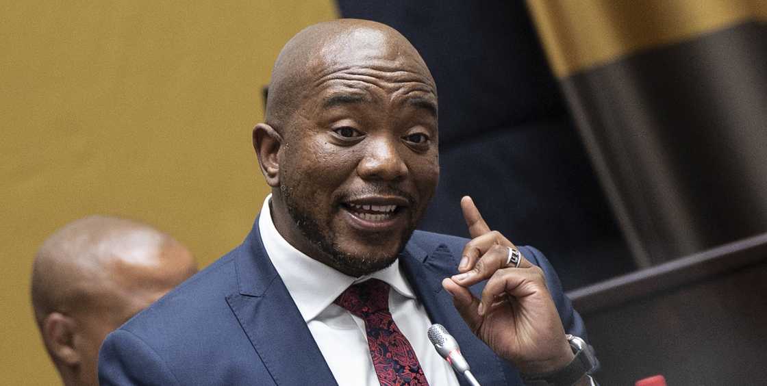 Build One South Africa (BOSA) leader Mmusi Maimane called for the cabinet to be trimmed Build One South Africa (BOSA) leader Mmusi Maimane called for the cabinet to be trimmed