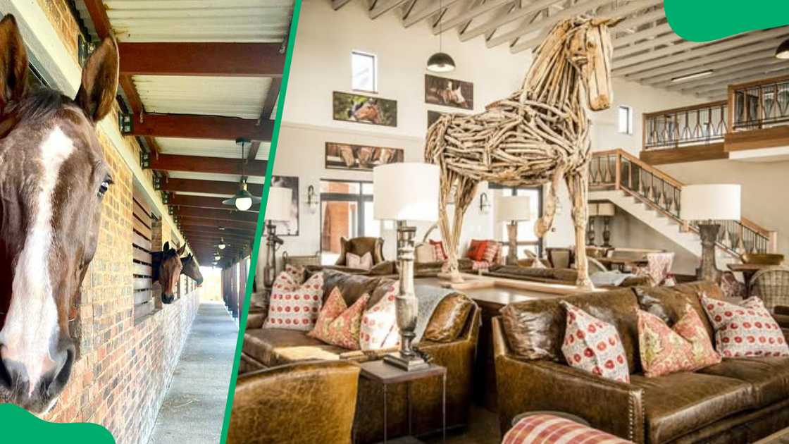 Equestrian Country Kitchen Equestrian Country Kitchen