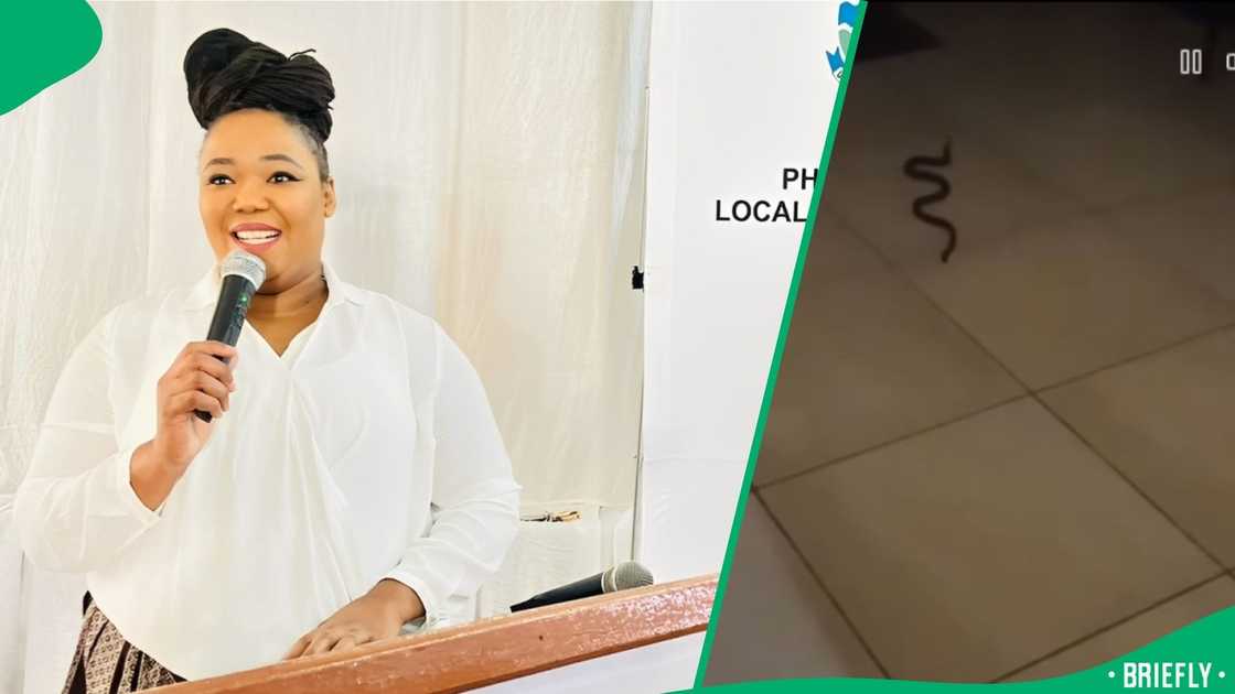 The frightened woman sent someone to call a man named Tshepo for help with the snake