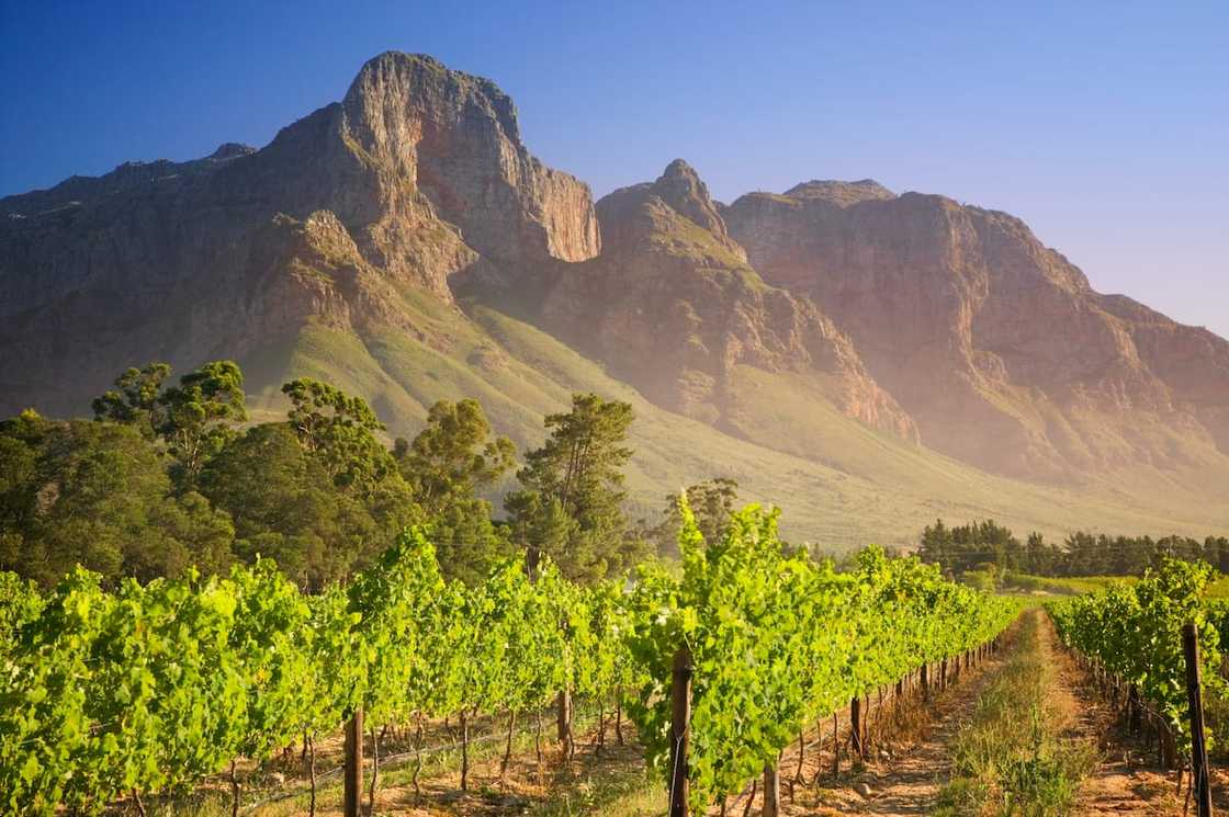 bill for expropriation of land without compensation bill for expropriation of land without compensation