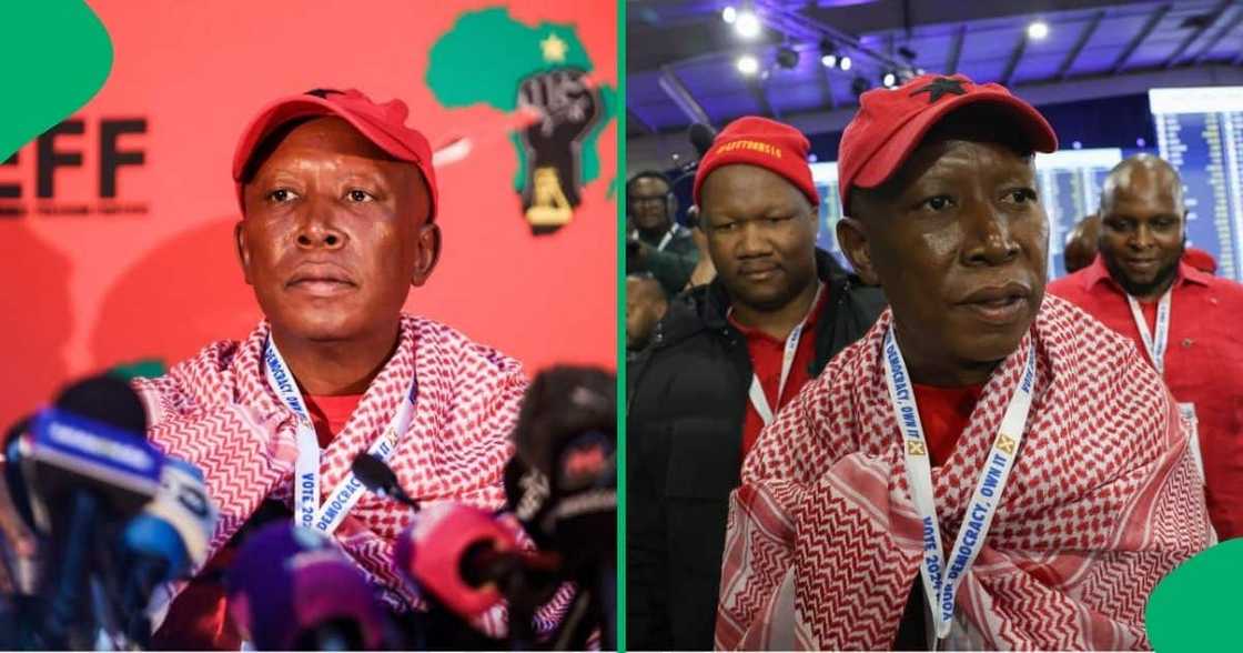 Julius Malema rejected the Government of National Unity the ANC's NEC decided on Julius Malema rejected the Government of National Unity the ANC's NEC decided on