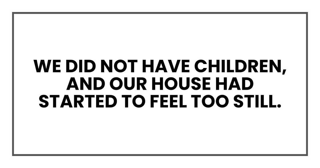 We did not have children, and our house had started to feel too still.