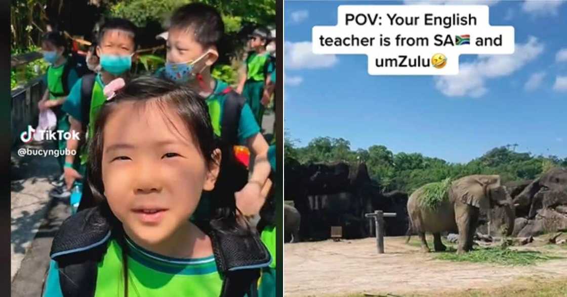 South African teacher tells students isiZulu word for elephant South African teacher tells students isiZulu word for elephant
