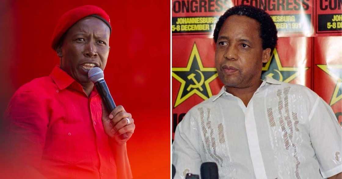 Julius Malema, Chris Hani, South African politics, South African politicians, struggle icon, EFF leader, Economic Freedom Fighters, South African Communist Party Julius Malema, Chris Hani, South African politics, South African politicians, struggle icon, EFF leader, Economic Freedom Fighters, South African Communist Party