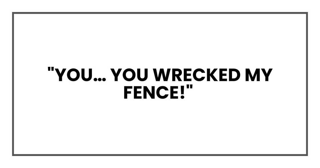 "You… you wrecked my fence!"