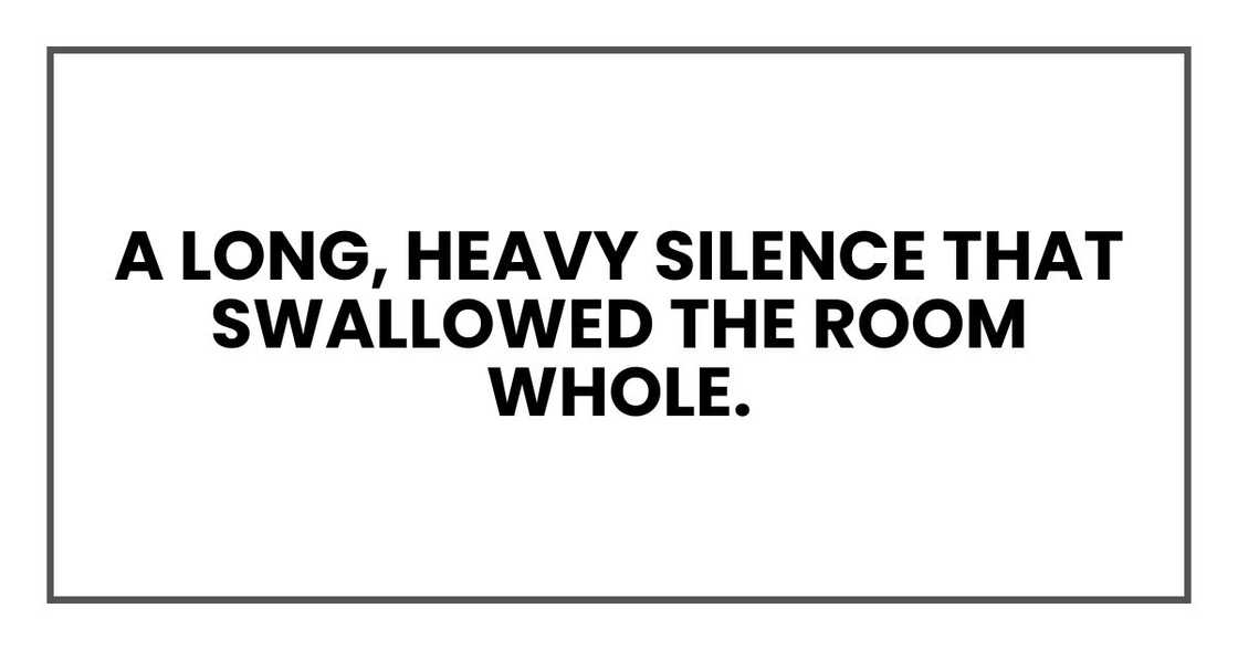 A long, heavy silence that swallowed the room whole A long, heavy silence that swallowed the room whole